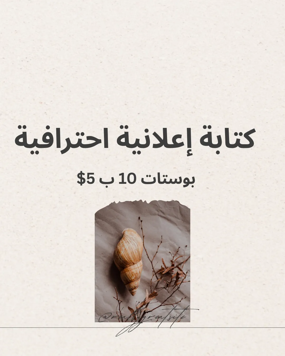 تسويق الكتروني'ترجمة روسي عربي انكليزي' استلام صفحات' تصيم حسابات